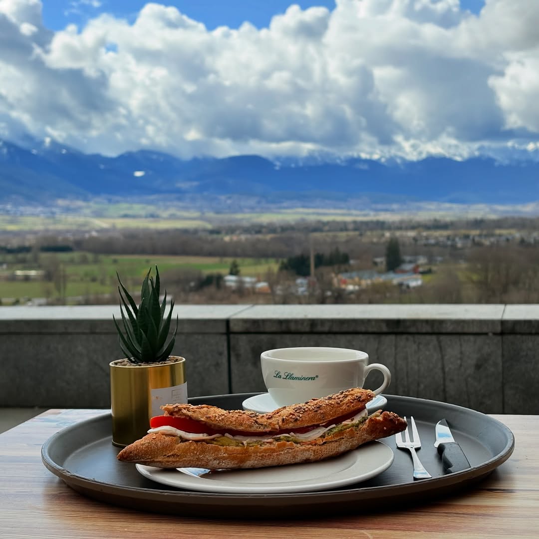 La Llaminera, Puigcerdà